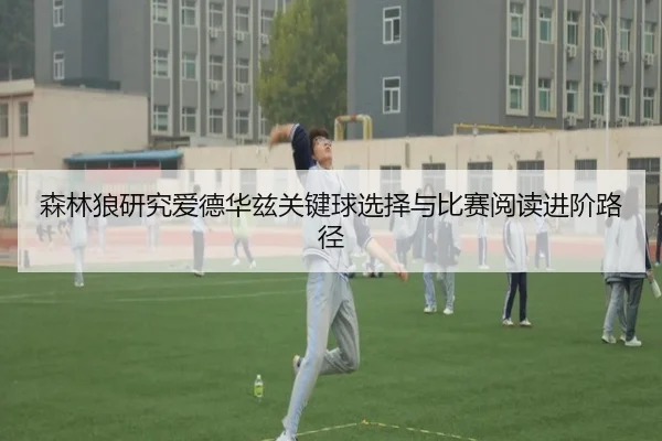 森林狼研究爱德华兹关键球选择与比赛阅读进阶路径