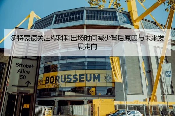 多特蒙德关注穆科科出场时间减少背后原因与未来发展走向