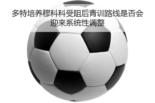 img_1781191969560_28_1_203.jpg