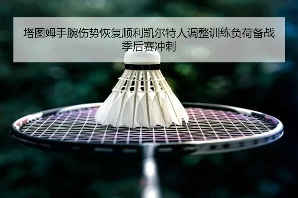 塔图姆手腕伤势恢复顺利凯尔特人调整训练负荷备战季后赛冲刺
